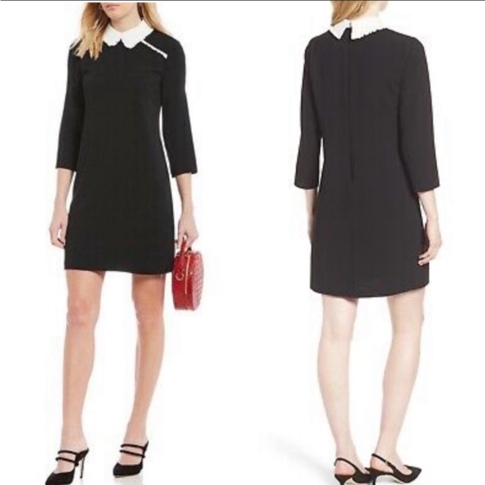 CeCe Black Dress with White Collar